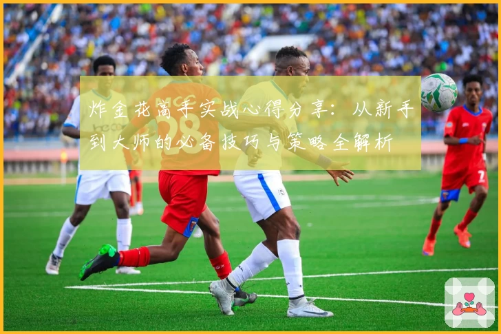 炸金花高手实战心得分享:从新手到大师的必备技巧与策略全解析