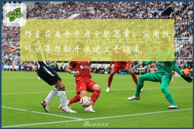 炸金花高手开启全新篇章:实用技巧分享与新手快速上手指南