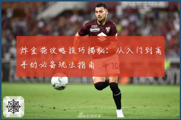 炸金花攻略技巧揭秘:从入门到高手的必备玩法指南