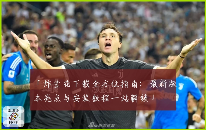 「炸金花下载全方位指南：最新版本亮点与安装教程一站解锁」