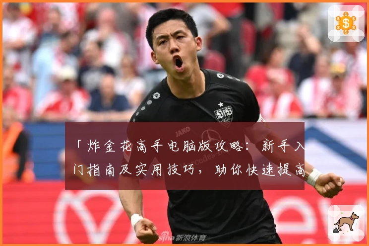 「炸金花高手电脑版攻略:新手入门指南及实用技巧,助你快速提高胜率」