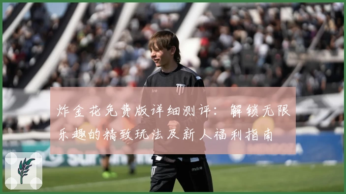 炸金花免费版详细测评：解锁无限乐趣的精致玩法及新人福利指南