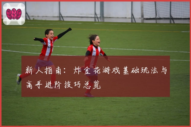 新人指南：炸金花游戏基础玩法与高手进阶技巧总览