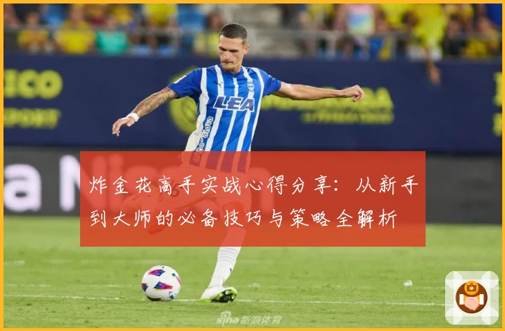 炸金花高手实战心得分享:从新手到大师的必备技巧与策略全解析