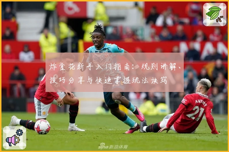 炸金花新手入门指南：规则讲解、技巧分享与快速掌握玩法诀窍