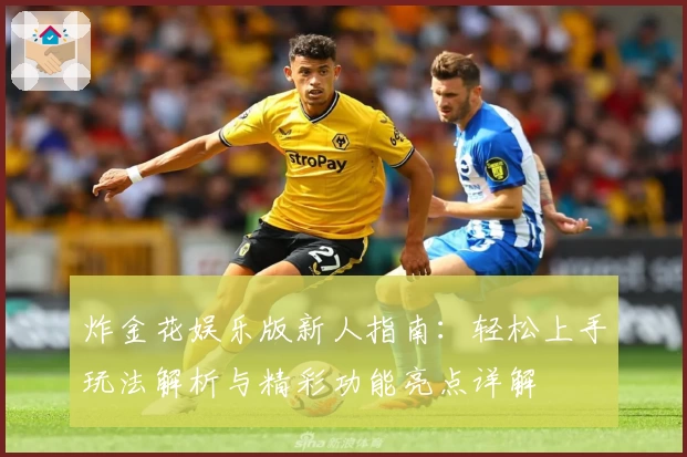 炸金花娱乐版新人指南：轻松上手玩法解析与精彩功能亮点详解