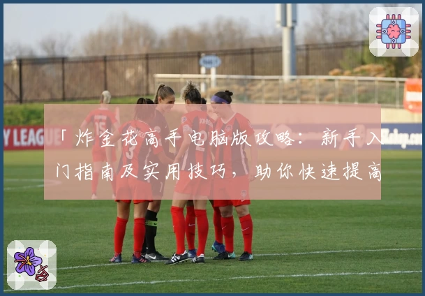 「炸金花高手电脑版攻略:新手入门指南及实用技巧,助你快速提高胜率」