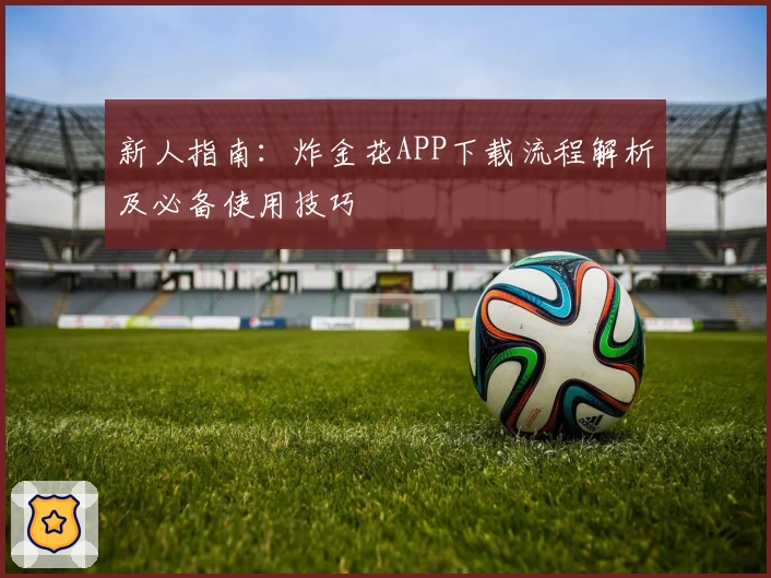 新人指南：炸金花APP下载流程解析及必备使用技巧